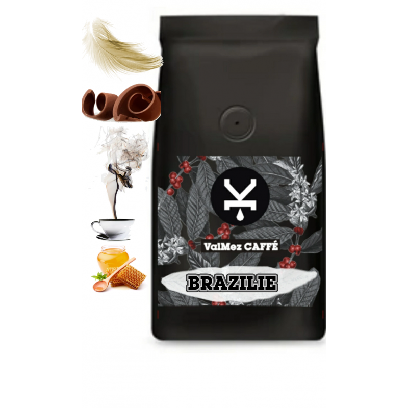 Káva Brazilie Santos Arabica